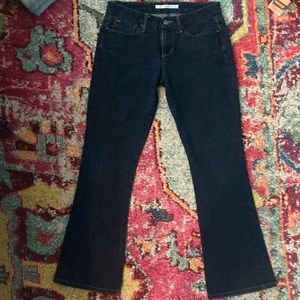 Joes jeans flair
